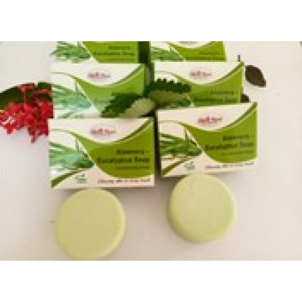 Aloevera-Eucalyptus Soaps
